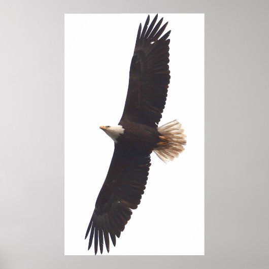 Eagle April 20, 2025 Poster (Voorkant)