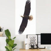 Eagle April 20, 2025 Poster (Thuiskantoor)