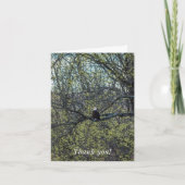 Eagle Awareness Kaart (Voorkant)