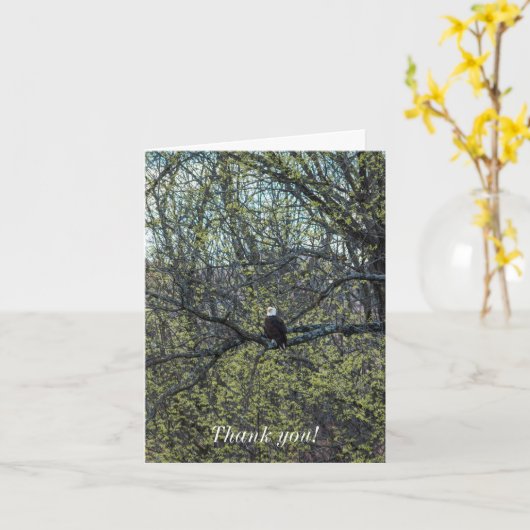 Eagle Awareness Kaart (Gele Bloem)