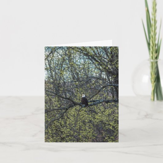 Eagle Awareness Kaart (Voorkant)