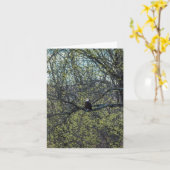 Eagle Awareness Kaart (Gele Bloem)
