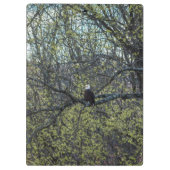Eagle Awareness Klembord (Achterkant)