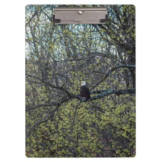 Eagle Awareness Klembord (Voorkant)