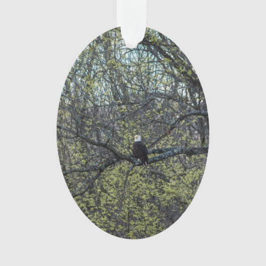 Eagle Awareness Ornament (voorkant)