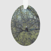 Eagle Awareness Ornament (achterkant)