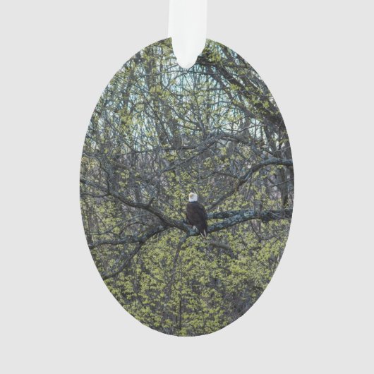 Eagle Awareness Ornament (achterkant)