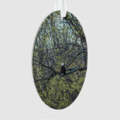 Eagle Awareness Ornament (voorkant)