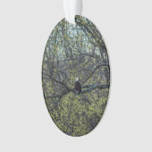 Eagle Awareness Ornament (voorkant)