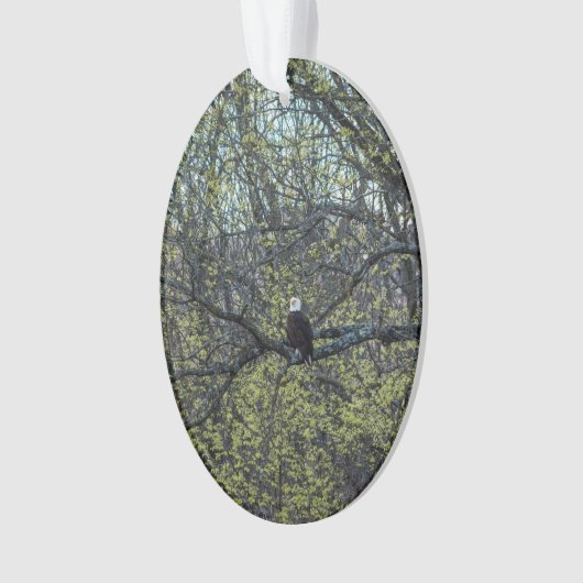 Eagle Awareness Ornament (voorkant)