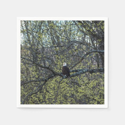 Eagle Awareness Servetten (Voorkant)