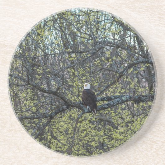 Eagle Awareness Zandsteen Onderzetter (Voorkant)