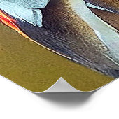 Eagle Bald Eagle Animal Discovery Adventure Natuur Poster (Hoek)