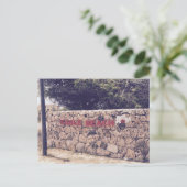 Eagle Beach - Briefkaart (Staand voorkant)