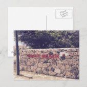 Eagle Beach - Briefkaart (Voorkant / Achterkant)