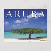 Eagle Beach | Caraïben, Aruba Briefkaart (Voorkant)