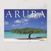 Eagle Beach | Caraïben, Aruba Briefkaart (Voorkant)
