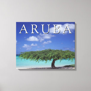Eagle Beach   Caraïben, Aruba Canvas Afdruk