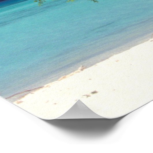 Eagle Beach | Caraïben, Aruba Poster (Hoek)