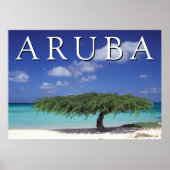 Eagle Beach | Caraïben, Aruba Poster (Voorkant)