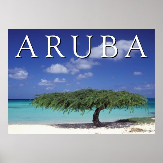 Eagle Beach | Caraïben, Aruba Poster (Voorkant)
