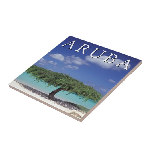 Eagle Beach | Caraïben, Aruba Tegeltje (Zijkant)