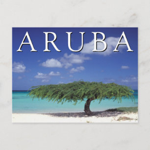 Eagle Beach   Caribisch gebied, Aruba Briefkaart