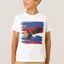 Eagle Bird USA Patriotic American Flag