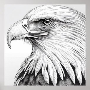 Eagle Bird Wilde Natuur Dierlijke Illustratie Art Poster
