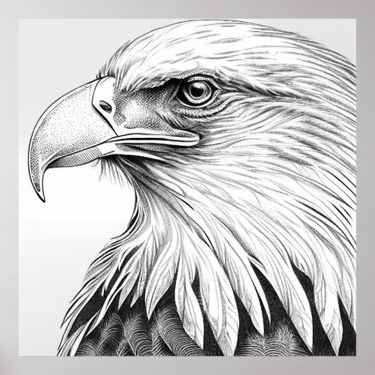 Eagle Bird Wilde Natuur Dierlijke Illustratie Art Poster (Voorkant)
