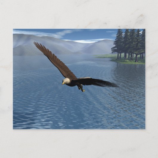 Eagle Briefkaart (Voorkant)