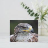 Eagle Briefkaart (Staand voorkant)