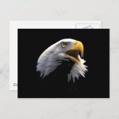 Eagle Briefkaart (Voorkant / Achterkant)
