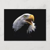 Eagle Briefkaart (Voorkant)