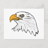 Eagle Briefkaart (Voorkant)