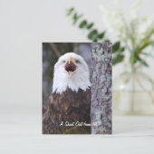 Eagle Briefkaart (Staand voorkant)