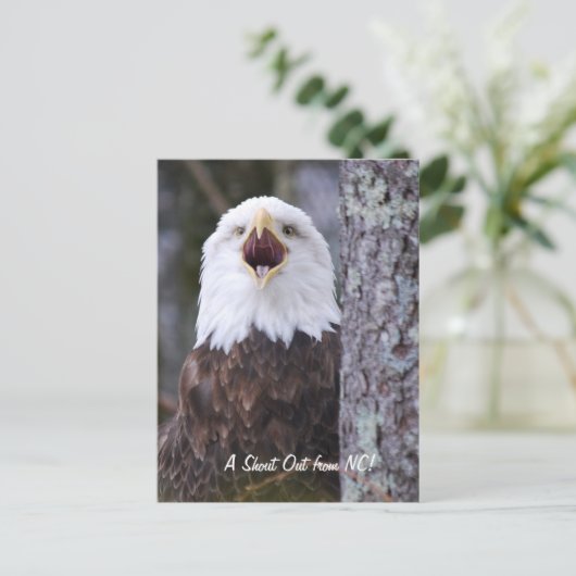 Eagle Briefkaart (Staand voorkant)
