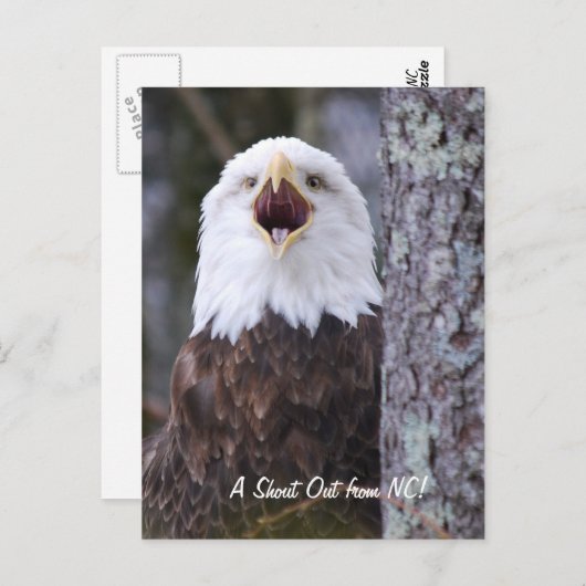 Eagle Briefkaart (Voorkant / Achterkant)