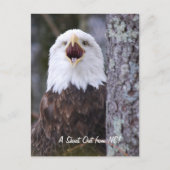 Eagle Briefkaart (Voorkant)