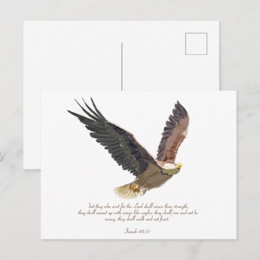Eagle Briefkaart (Voorkant / Achterkant)