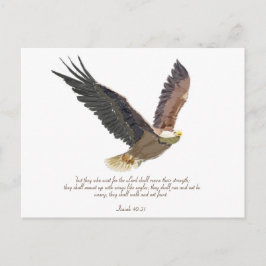 Eagle Briefkaart