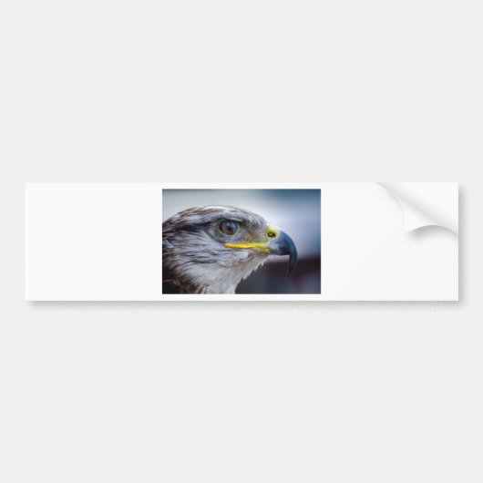 Eagle Bumpersticker (Voorkant)