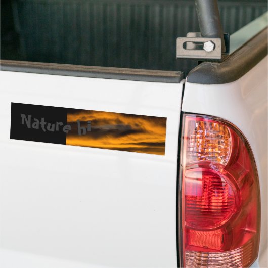 eagle burnout bumpersticker (Op Truck)
