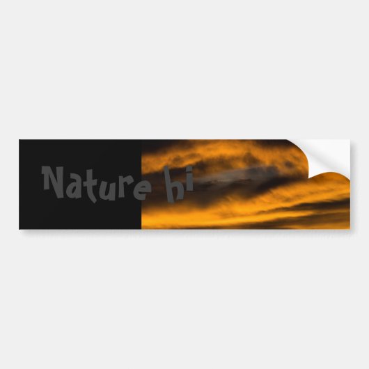 eagle burnout bumpersticker (Voorkant)