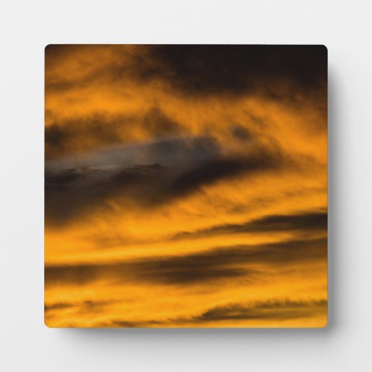 eagle burnout fotoplaat (Voorkant)