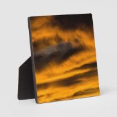 eagle burnout fotoplaat (Voorkant)