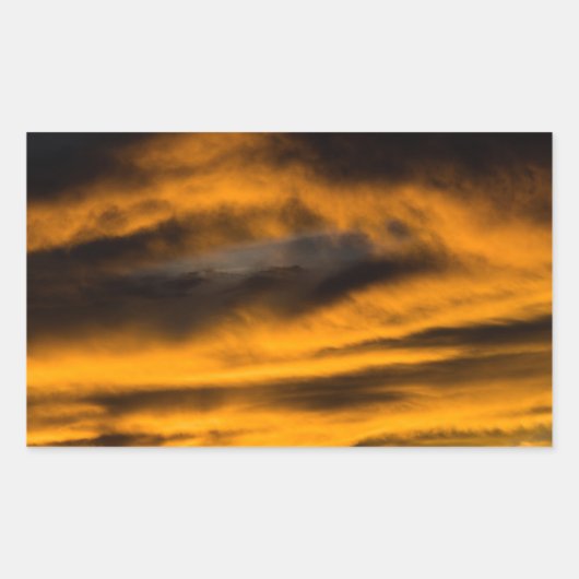 eagle burnout rechthoekige sticker (Voorkant)