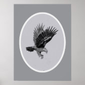 Eagle by Light    Poster (Voorkant)