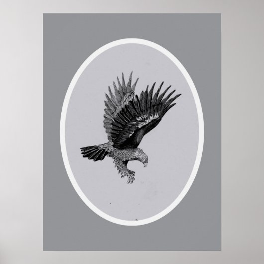 Eagle by Light    Poster (Voorkant)