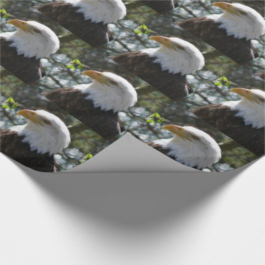 Eagle Cadeaupapier (Hoek)